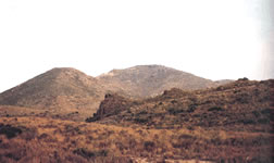 Los Espartizales de Cartagena